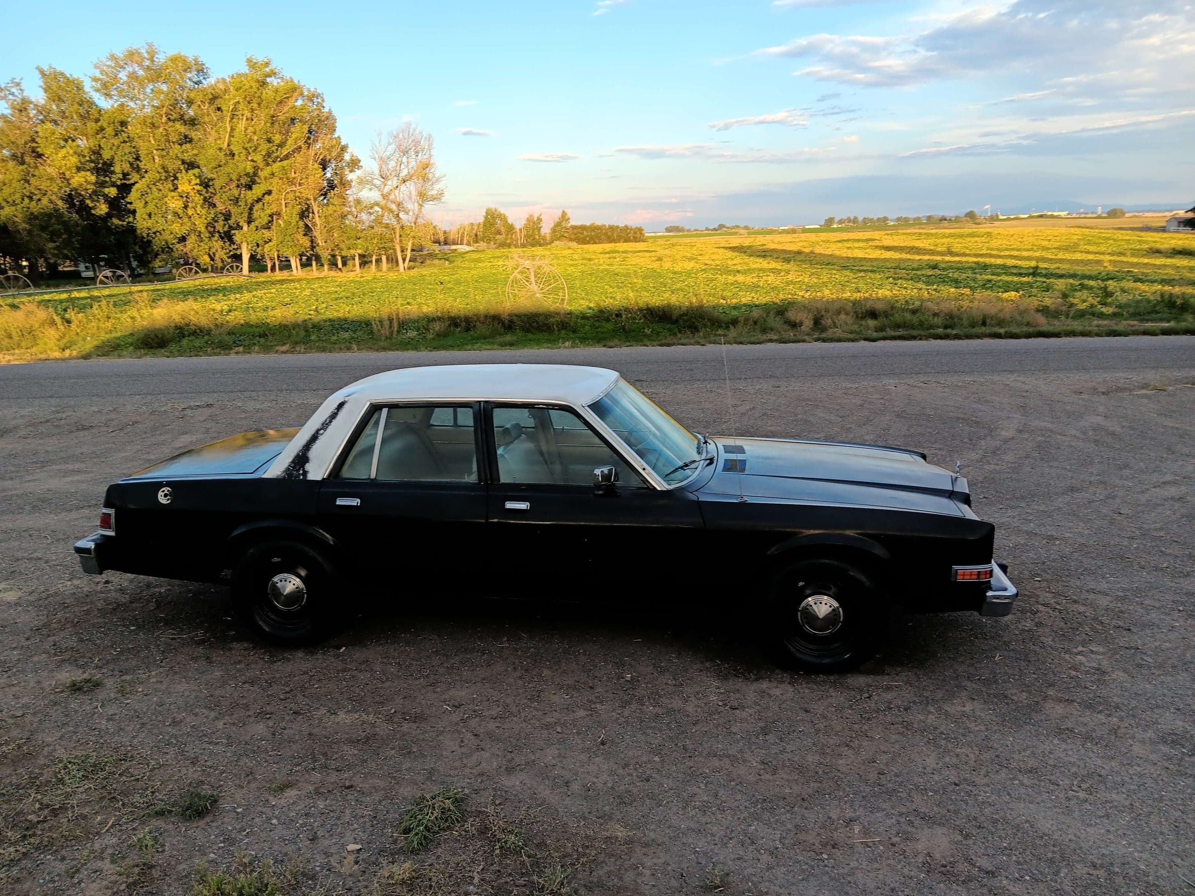 1983 Dodge Diplomat