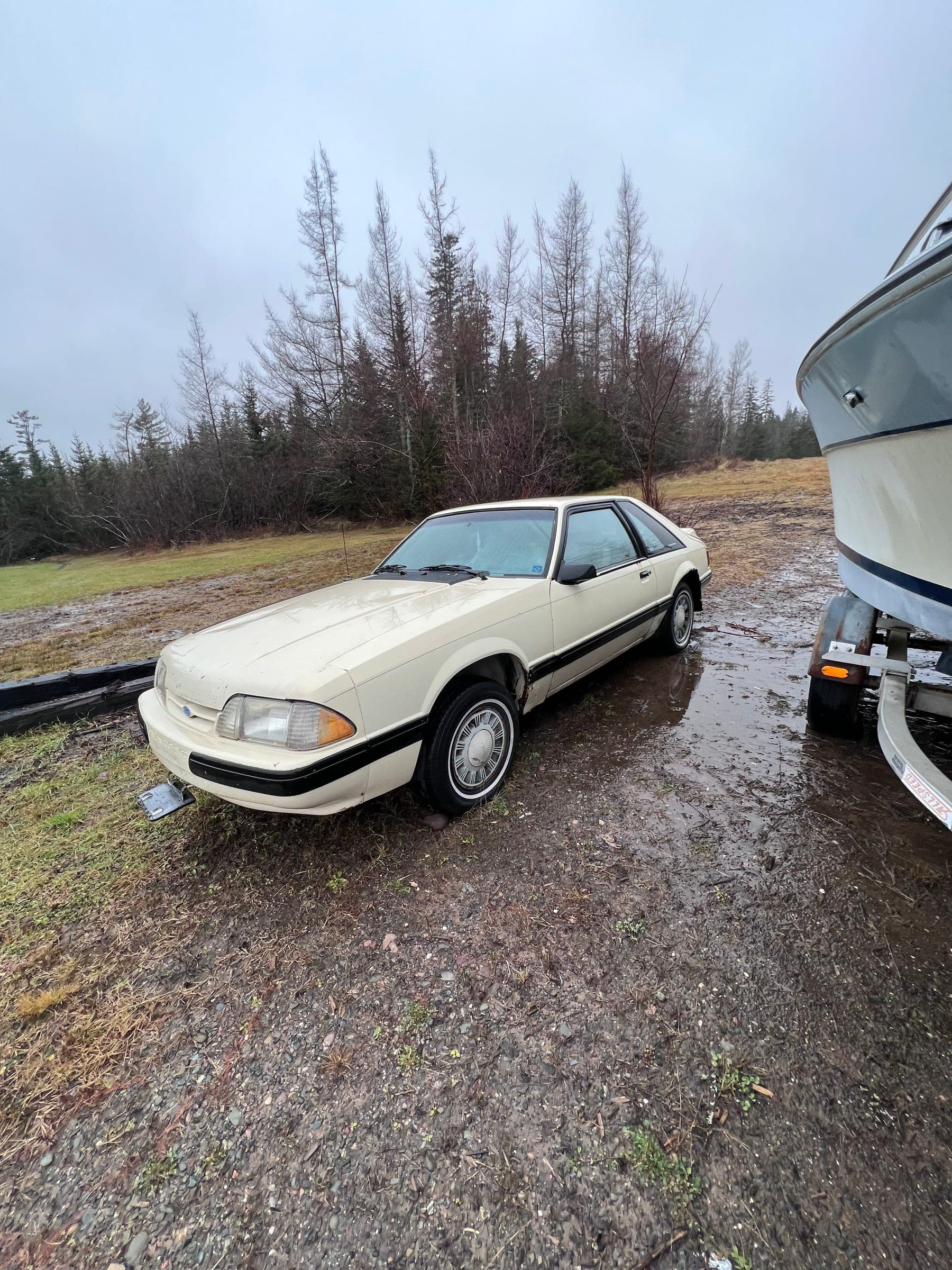 1989 Ford Mustang LX (Foxbody)